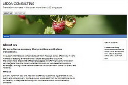 ledda-consulting.ch